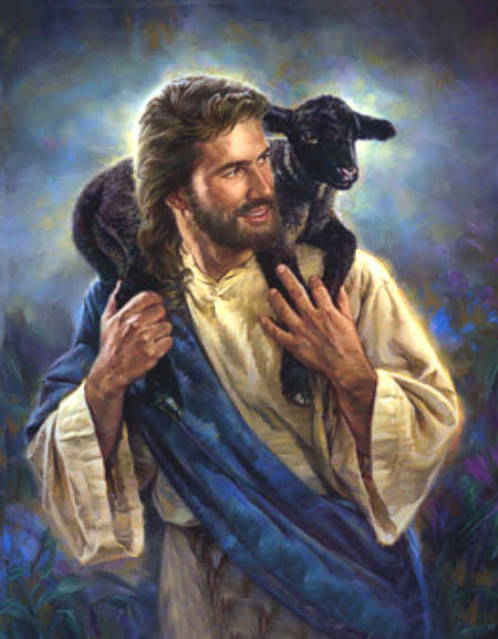 Jesus Sheep-11_4