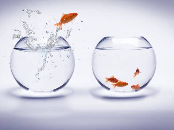 Priorities-and-Sacrifices